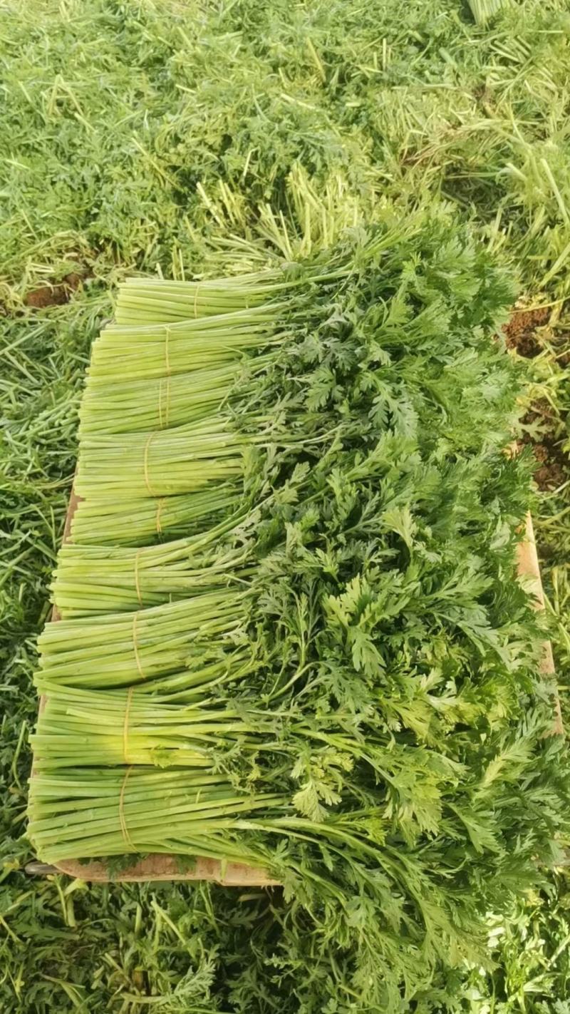 茼蒿菜