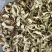 2025云南野生菌干货大量上市了
