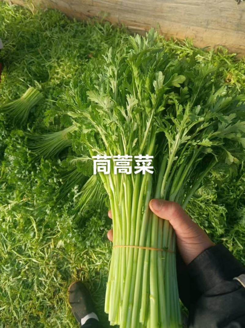 茼蒿菜