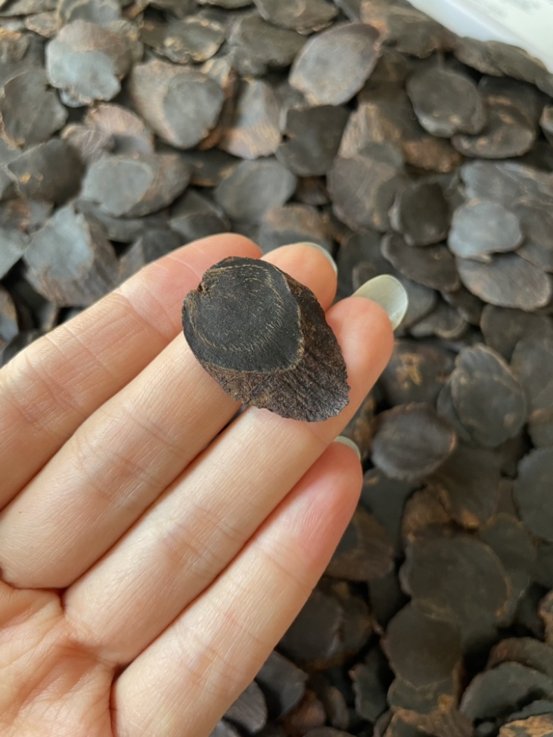 黑参片中大九蒸九晒味道好煲汤泡水打粉都可以