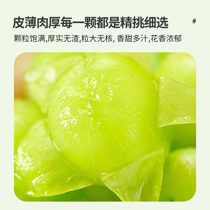 【精品】河南阳光玫瑰葡萄价优物美，产地直销欢迎老板合作