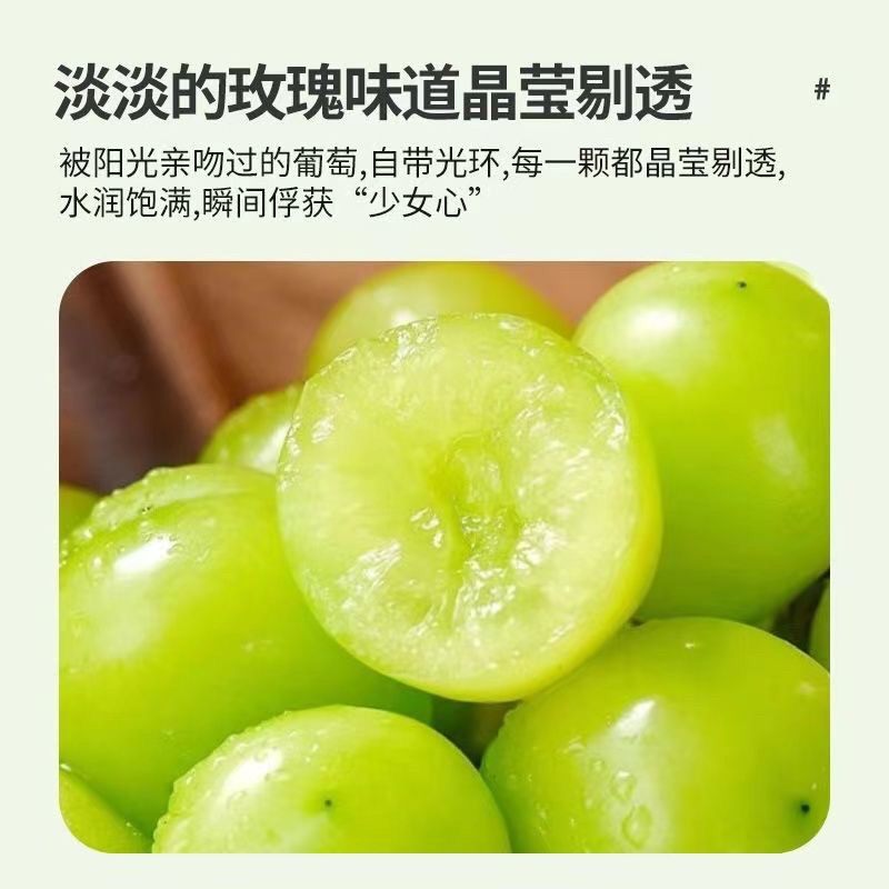 【精品】河南阳光玫瑰葡萄价优物美，产地直销欢迎老板合作