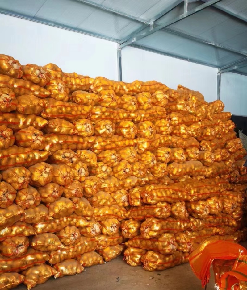 透明编织袋金黄透明土豆亮袋，装出来土豆颜色鲜艳，