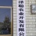厚皮大叶川黄柏苗，根系发达，长势快，冬春可栽，