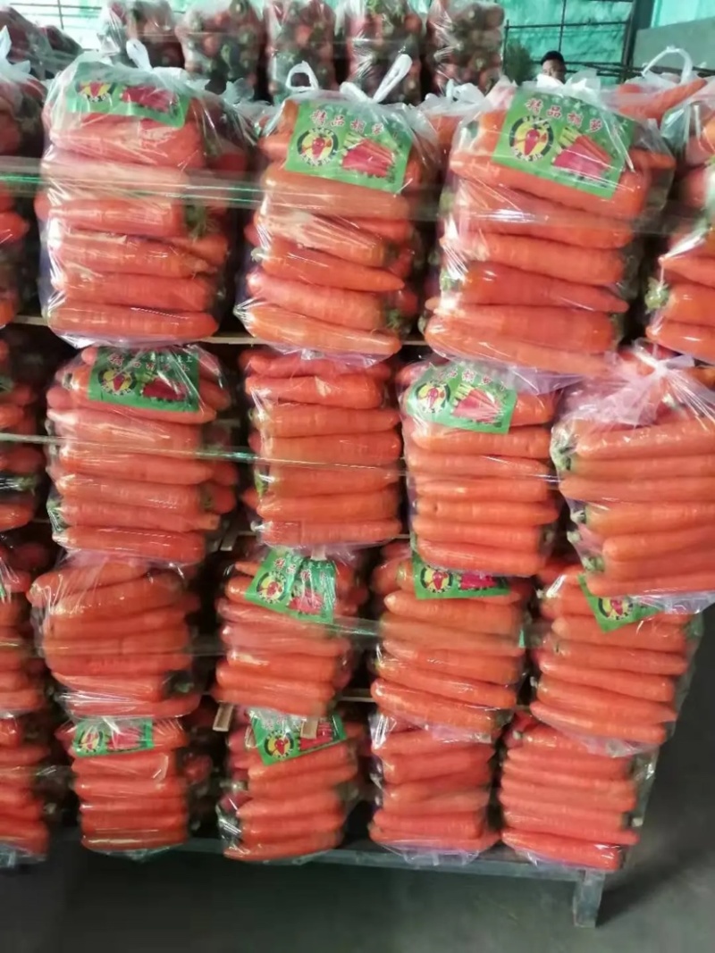 红萝卜精品中条储存加工精品包装对接商超欢迎联系