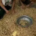 鲜花生！过筛手选，产地直销，保质保量！欢迎订购