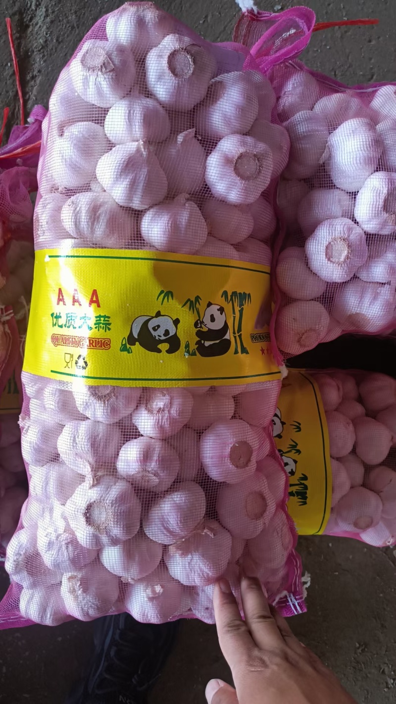 山东精品大蒜产地直发，大量供应可视频看货