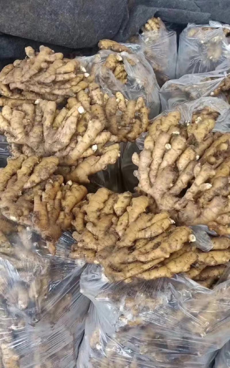 精品山东小黄姜，货源充足，对接全国电商市场批发商