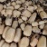 精品莲藕，颜色好，质量好，货源充足，保质保量，物流方便