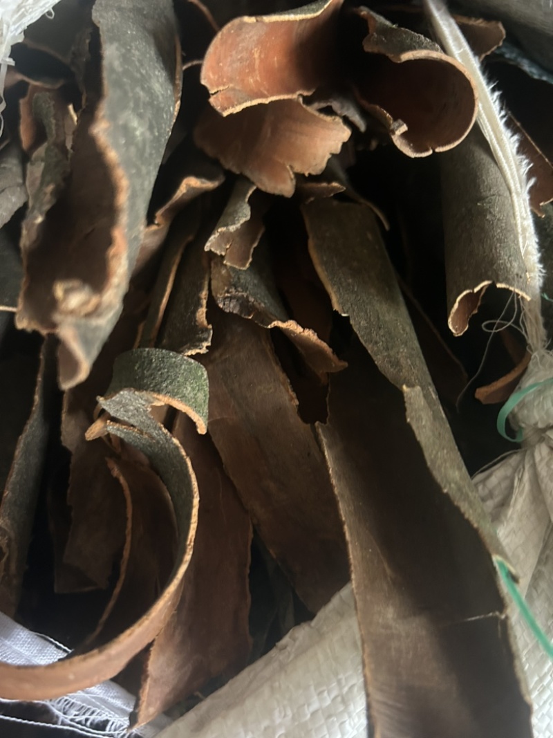 桂皮野生香桂皮，皮薄气味香浓香料桂皮足干新货供应