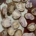 会泽乌洋芋，上车价2000一吨