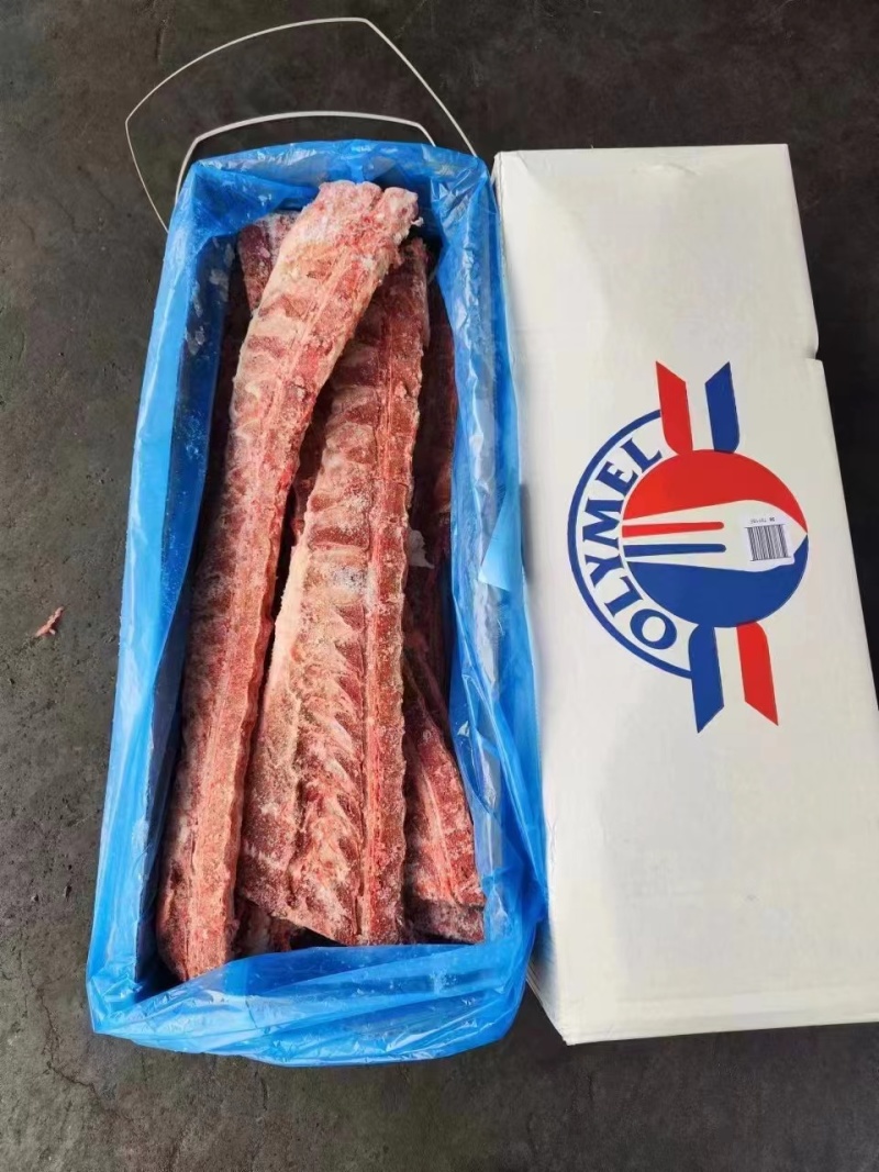 270背骨