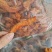 鸡肉条鸡肉片麻辣五香味一包5斤一件20斤可混装