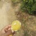 云南正宗高山冰糖橙