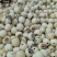 莲子500g干货白莲子去芯磨皮白莲江西特产农家自产