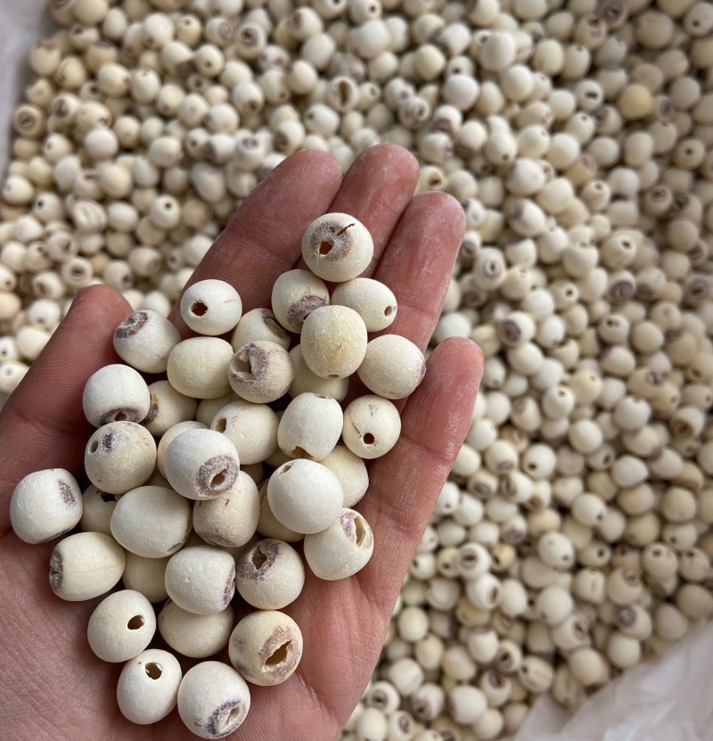 莲子500g干货白莲子去芯磨皮白莲江西特产农家自产