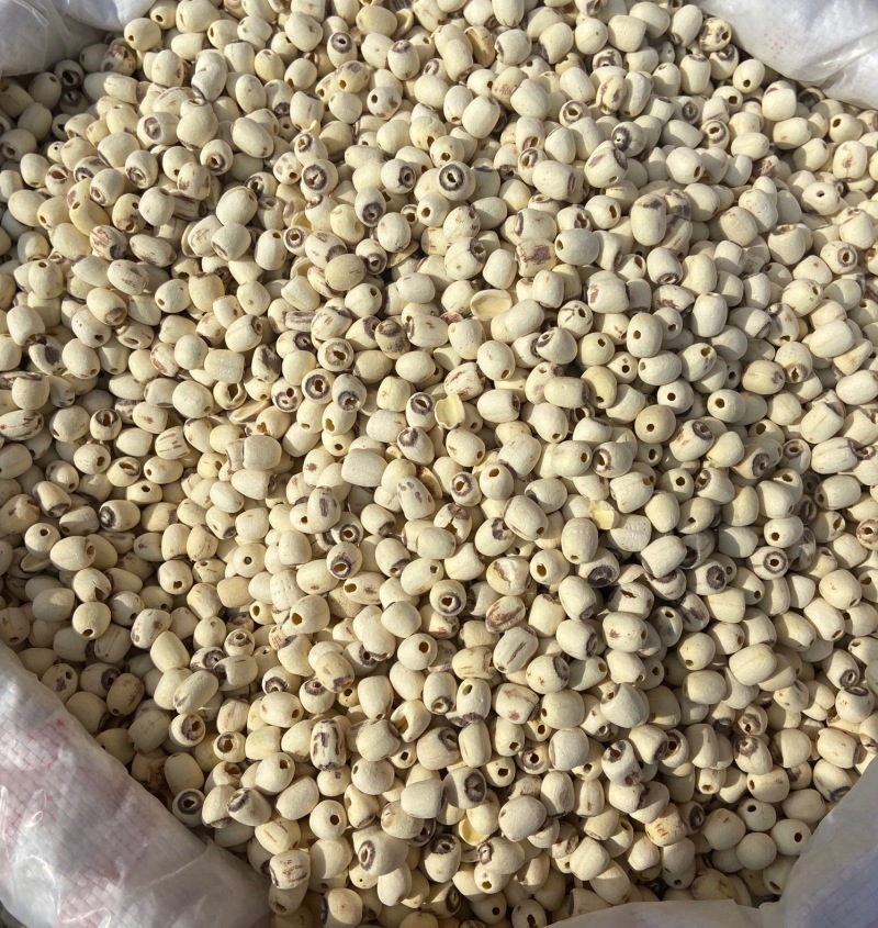 莲子500g干货白莲子去芯磨皮白莲江西特产农家自产