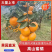 湖北宜昌柑桔蜜橘皮薄肉细入口化渣果皮火红诚信经营