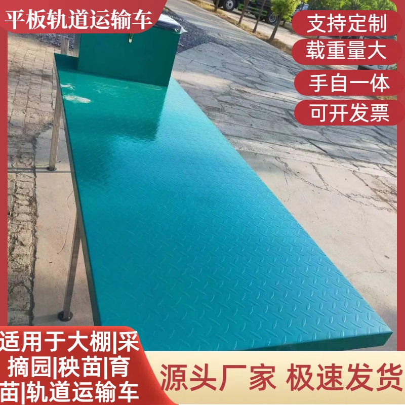 大棚轨道车电动平板运输车果园遥控平板轨道运输车蔬菜农用运