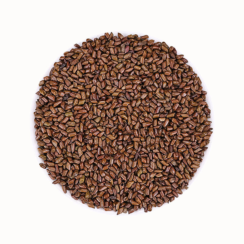 决明子500g药食同源熟决明子茶炒决明子沙滩枕芯花草茶厂