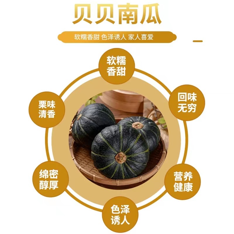推荐南瓜贝贝南瓜软糯香甜货源充足量大从优一手货