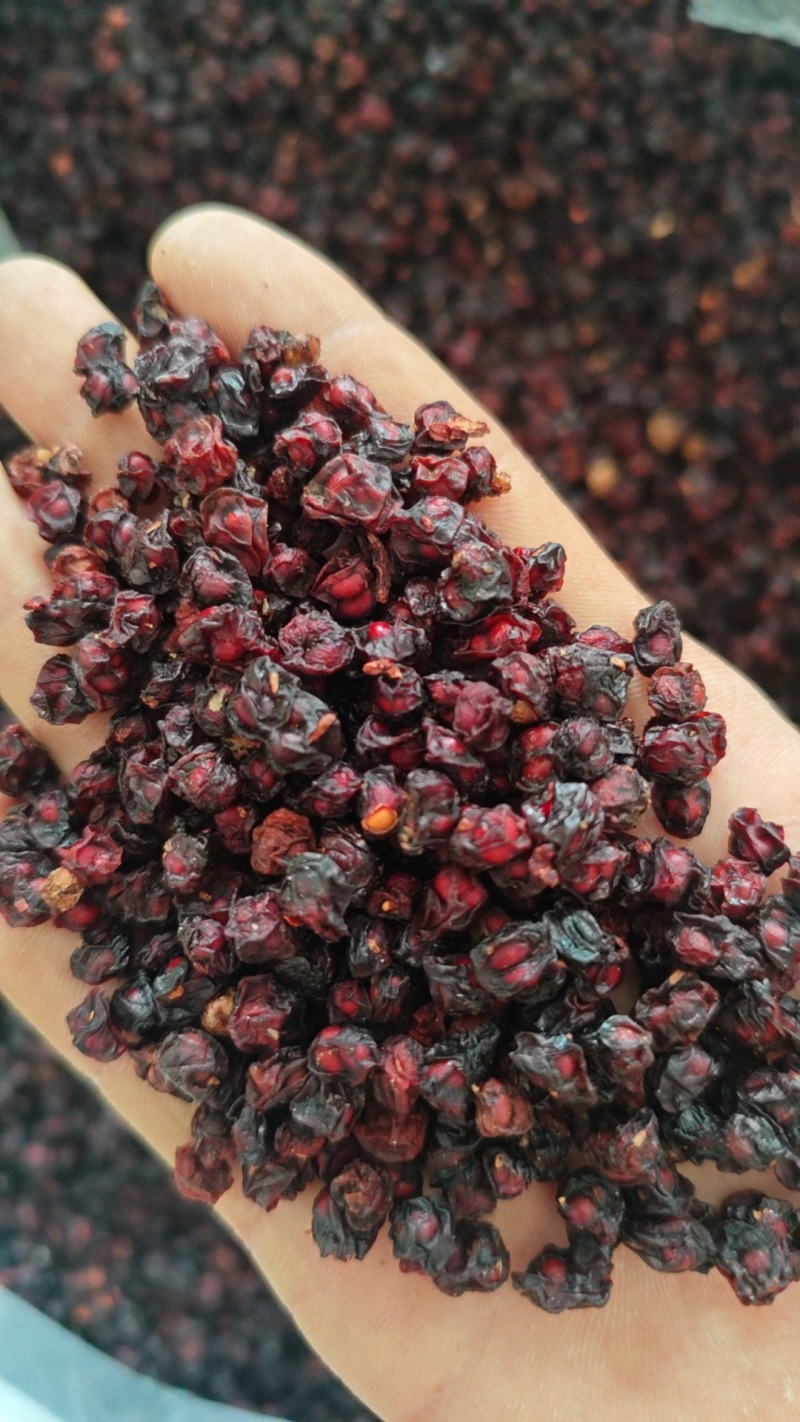 东北五味子，无磺，原产地直邮，不拼价格，拼质量