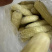 常年销售各种糯玉米产品玉米下脚料欢迎来电咨询量大从优