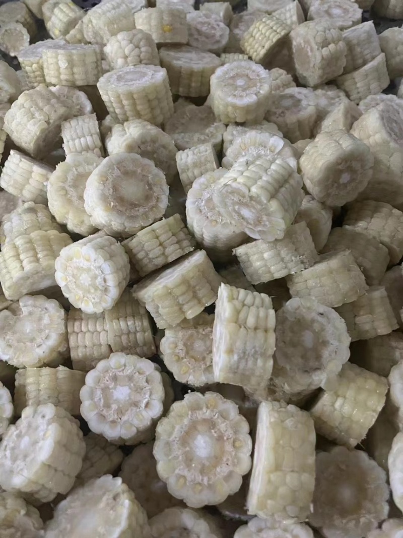 常年销售各种糯玉米产品玉米下脚料欢迎来电咨询量大从优