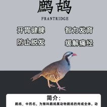 鹧鸪