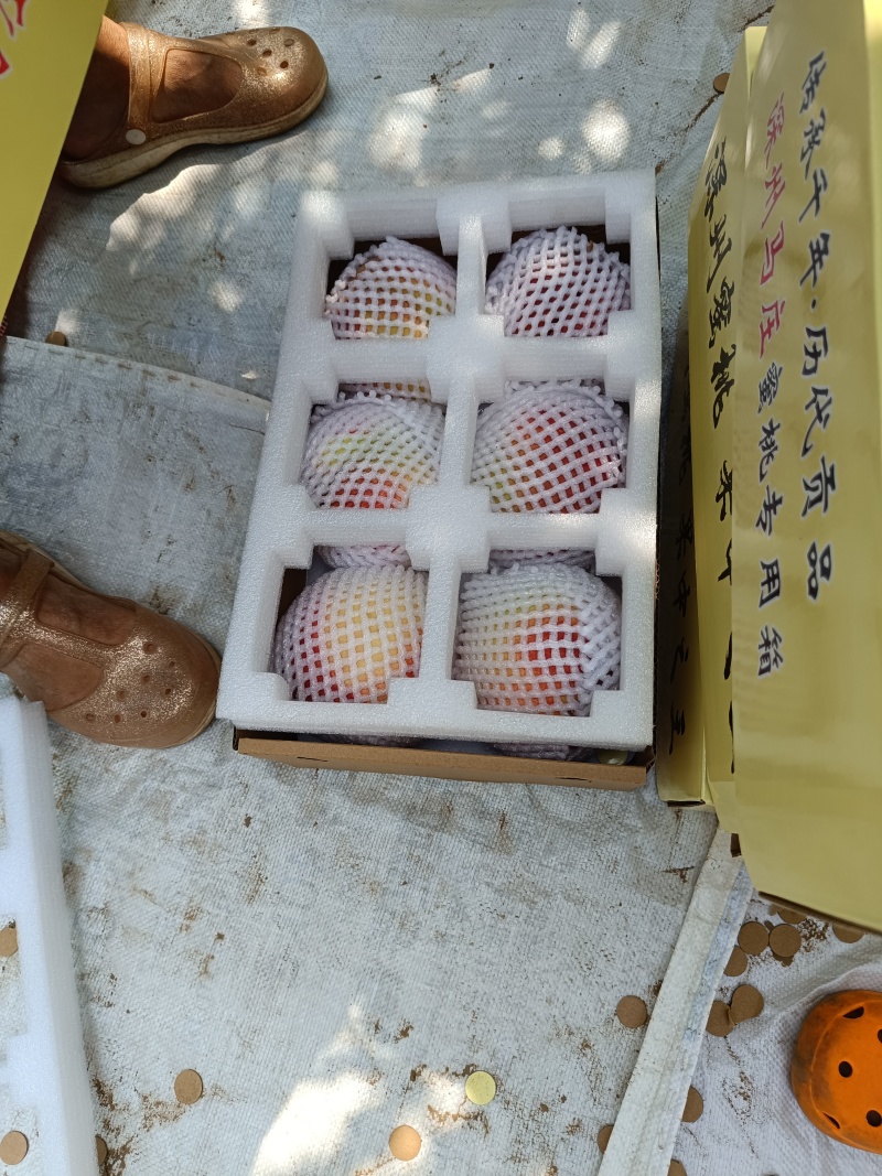 深州蜜桃，现摘现发