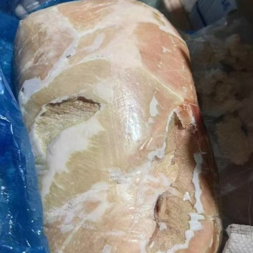 大日期肥猪二四号肉