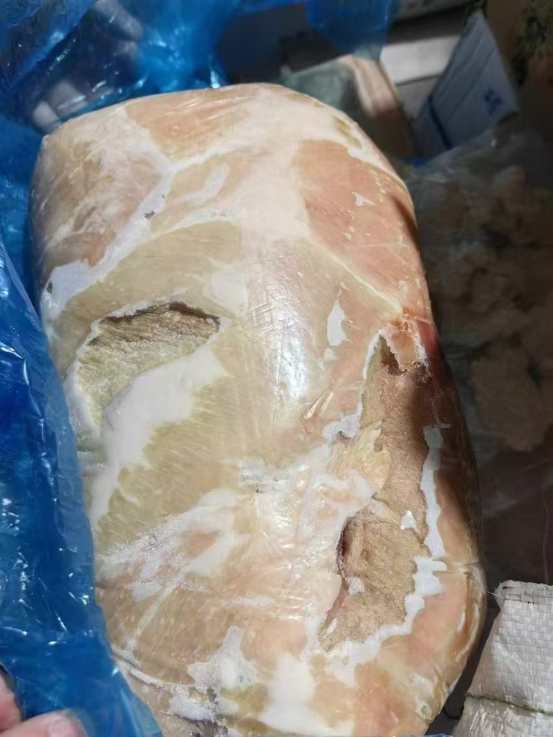 大日期肥猪二四号肉