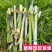 新型皇竹草节苗产地直销，价格优惠种植简单，可生长多年