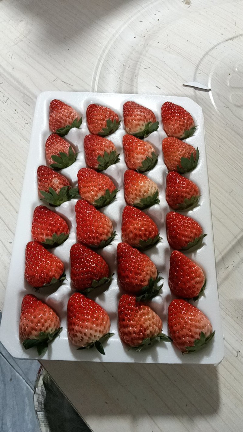 正宗安徽长丰红颜草莓