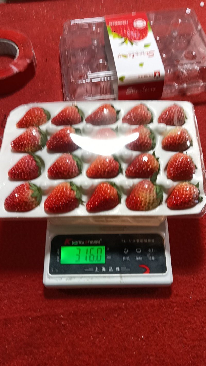 承接电商，市场批发，奶茶烘培！以精品果为标准，欢迎洽谈
