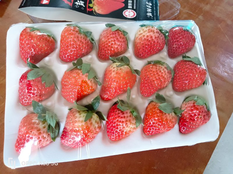 承接电商，市场批发，奶茶烘培！以精品果为标准，欢迎洽谈