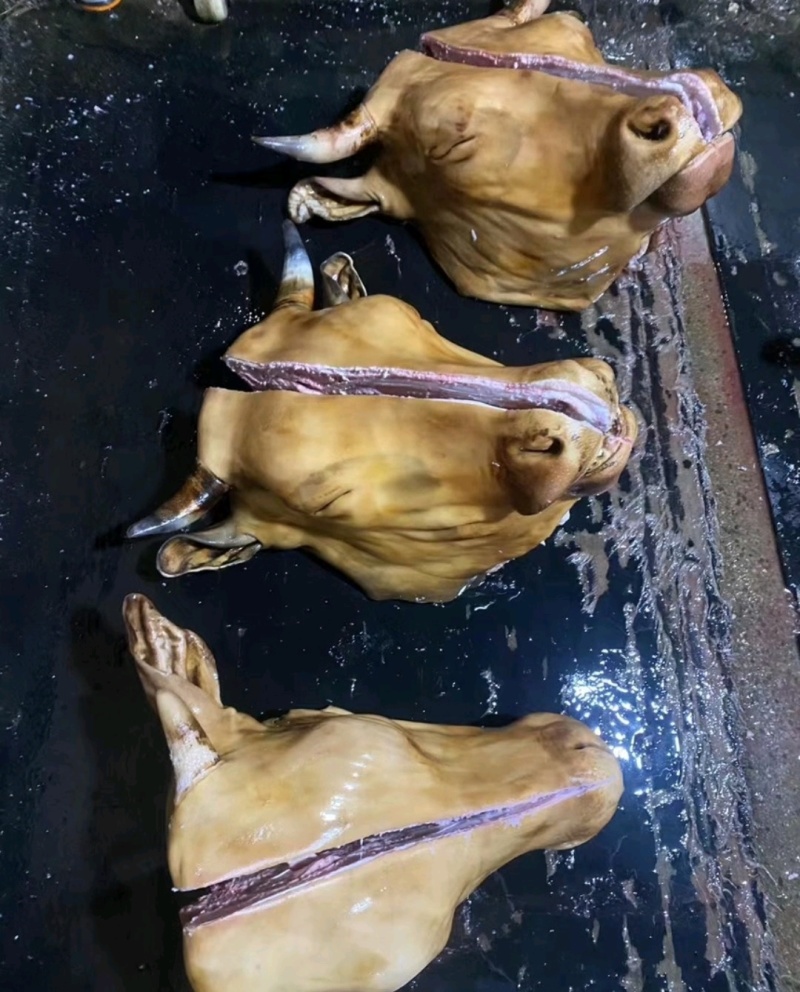 牛头牛副产品滨州牛肉常年供货价格便宜代发全国市场