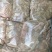 精品牛小肠大肠大量有货量大优惠货源稳定欢迎电话联系洽谈