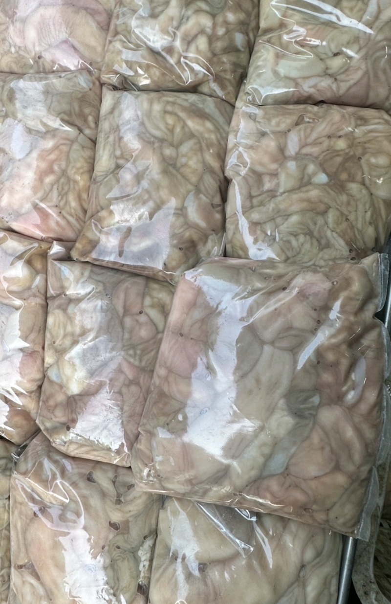 精品牛小肠大肠大量有货量大优惠货源稳定欢迎电话联系洽谈