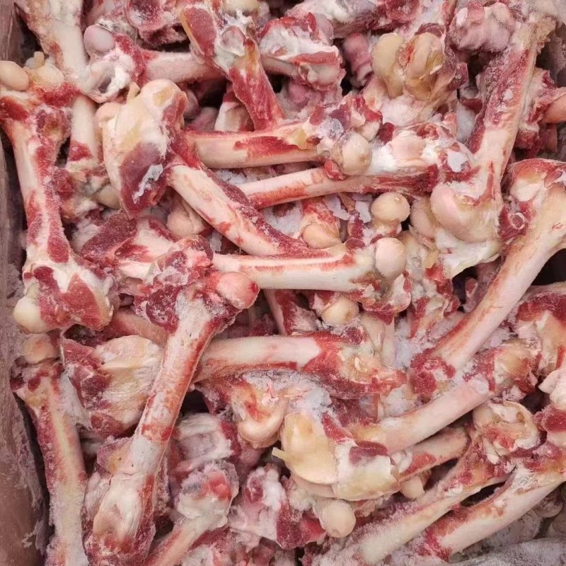 羊脊骨