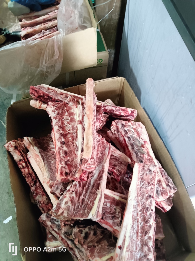 羊脊骨