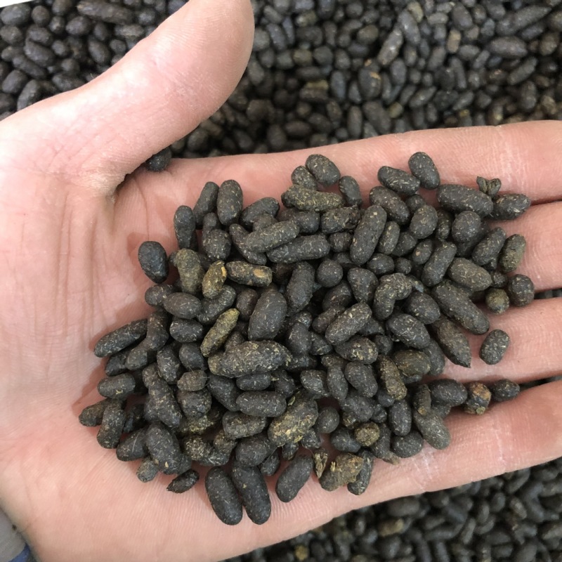 五灵脂中药材灵脂米(寒号虫粪寒雀粪)另有蒲黄现货一