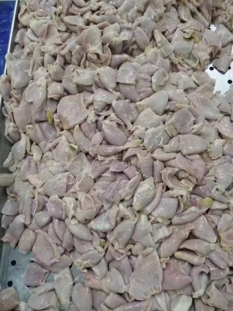 鸡小肚