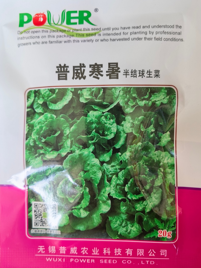 深绿生菜种子普威寒暑生菜耐热耐寒半结球四季意大利生菜种子