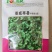 深绿生菜种子普威寒暑生菜耐热耐寒半结球四季意大利生菜种子