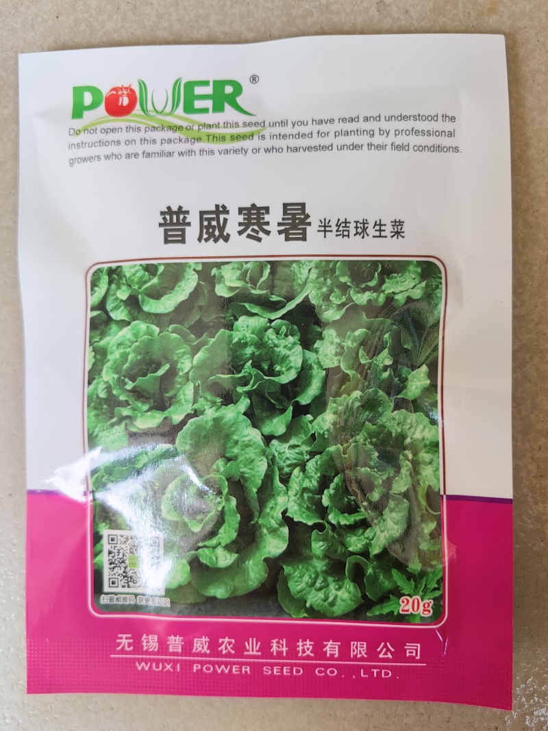深绿生菜种子普威寒暑生菜耐热耐寒半结球四季意大利生菜种子