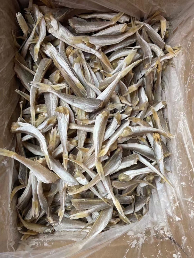 红娘鱼干角肉红头鱼干红娘子鱼咸鱼干批发海鲜干