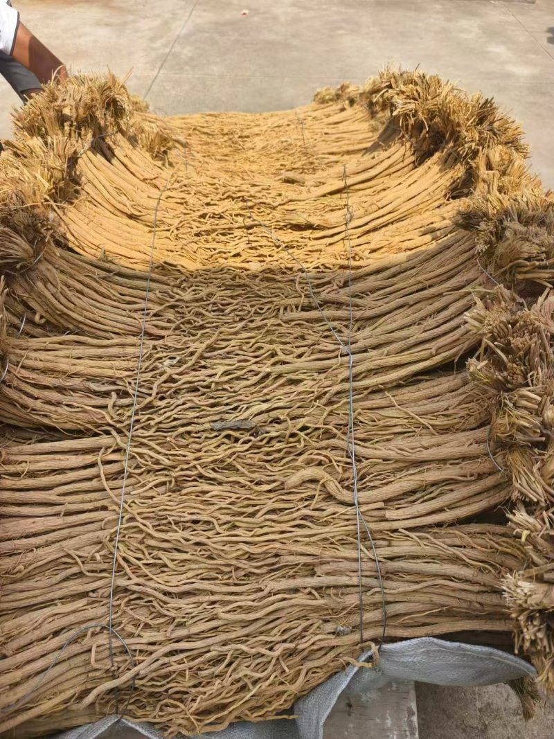 防风