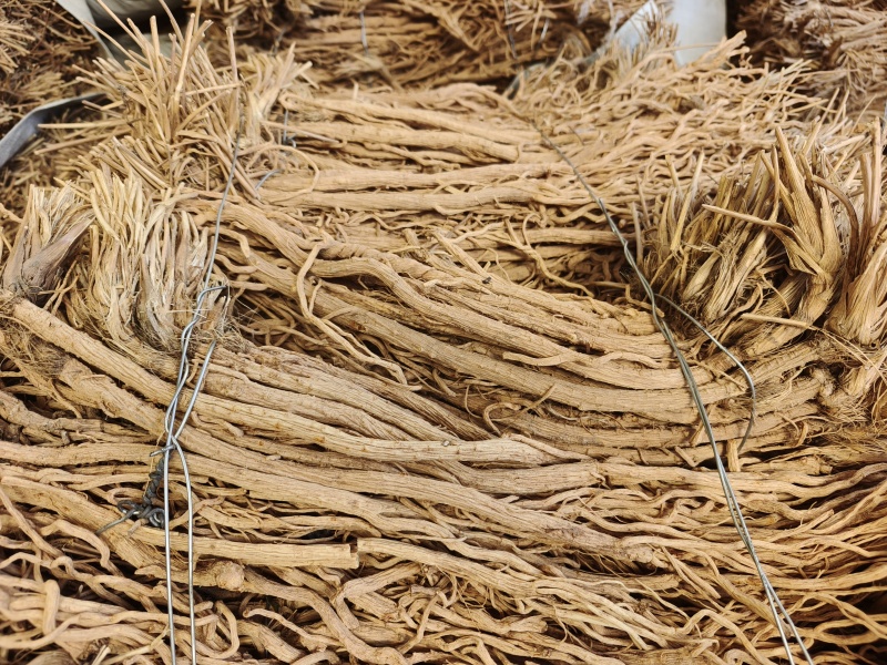 防风