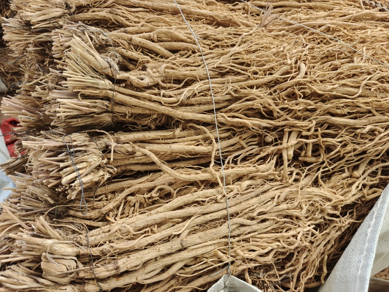 防风
